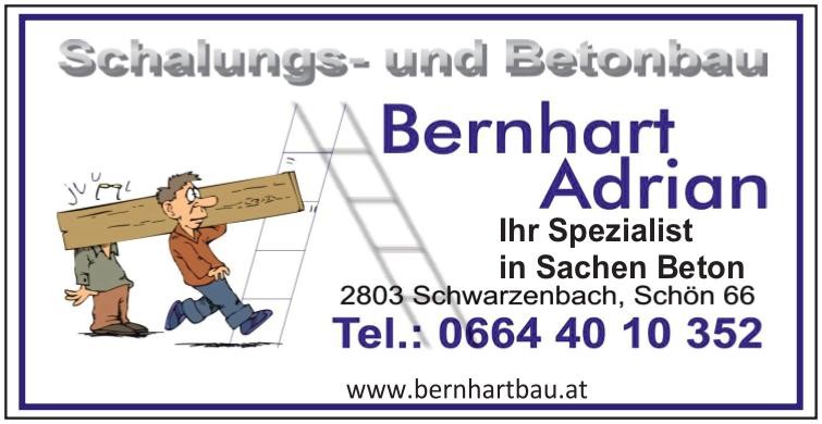 Schalungs und Betonbau